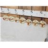 Image 2 : 7 Beaver Skulls Taxidermy