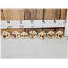 Image 3 : 7 Beaver Skulls Taxidermy