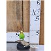 Image 1 : Green Budgie Parakeet Full Body Bird Taxidermy