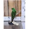 Image 2 : Juvenile Jardine's Parrot Full Body Bird Taxidermy
