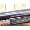 Image 6 : Winchester Model 12 12ga Pump Shotgun