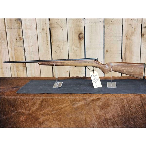 Savage Model 121 .22 Single Shot Bolt Action