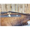 Image 6 : Antique Parker Brothers 12ga Double Barrel Shotgun