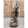 Image 3 : African Nyala Full Body Taxidermy Mount