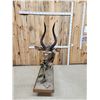 Image 2 : African Nyala Full Body Taxidermy Mount