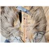 Image 5 : African Steinbok Shoulder Mount Taxidermy
