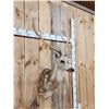 Image 3 : Axis Deer Shoulder Mount Taxidermy