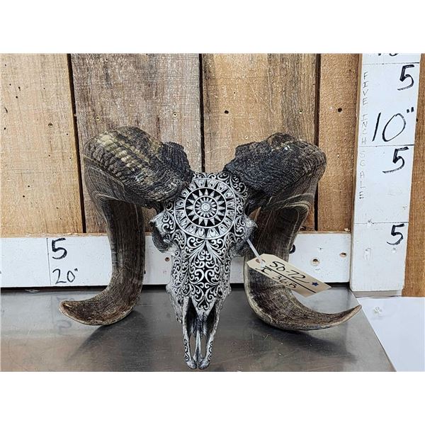 Spectacular Hand Carved Ram Sheep Skull Taxidermy