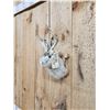 Image 4 : Jackalope Shoulder Mount Taxidermy