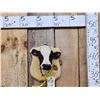Image 1 : Holstein Calf Shoulder Mount Taxidermy
