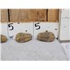 Image 2 : 6 Prehistoric Fossilized Trilobites