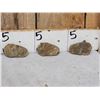 Image 6 : 6 Prehistoric Fossilized Trilobites