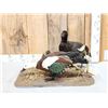 Image 1 : Pair Of African Paradise Shelducks Bird Taxidermy