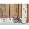 Image 1 : Beautiful 1.5 Lbs Petrified Wood Mineral Specimen