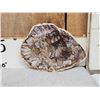 Image 2 : Beautiful 1.5 Lbs Petrified Wood Mineral Specimen