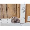 Image 3 : Beautiful 1.5 Lbs Petrified Wood Mineral Specimen