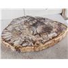 Image 5 : Beautiful 1.5 Lbs Petrified Wood Mineral Specimen