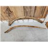 Image 2 : 2 Ancient Woolly Mammoth Rib Bones Partially Fossilized Fossil