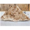 Image 2 : 18.2 Lbs Dogtooth Calcite Crystal Cluster