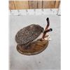 Image 4 : Hedgehog Full Body Taxidermy Mount