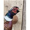 Image 4 : Ringneck Pheasant In Flight Bird Taxidermy