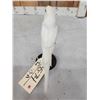 Image 4 : White Budgie Parakeet Full Body Bird Taxidermy