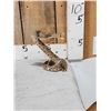 Image 2 : Diamondback Rattlesnake Full Body Taxidermy Mount