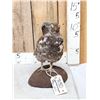 Image 1 : Dusky Grouse Full Body Bird Taxidermy