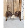 Image 1 : Bighorn Sheep Horns On Skull Plate Taxidermy