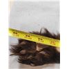 Image 6 : Juvenile Black Bear Soft Tanned Fur Taxidermy
