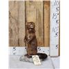 Image 1 : Mink Full Body Taxidermy Mount