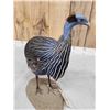 Image 4 : Vulterine Guinea Fowl Full Body Bird Taxidermy