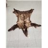 Image 1 : Blonde Phase Black Bear Soft Tanned Fur