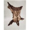 Image 2 : Blonde Phase Black Bear Soft Tanned Fur