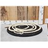 Image 1 : Authentic Articulated Python Skelton Taxidermy