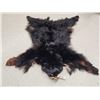 Image 1 : Black Bear Soft Tanned Fur Taxidermy