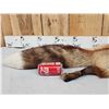 Image 3 : Big Red Fox Soft Tanned Fur Taxidermy