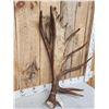 Image 3 : Awesome 14.9 Lbs Moose Shed Antler