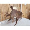Image 2 : Extra Nice 11.4 Lbs Self Standing Moose Shed Antler