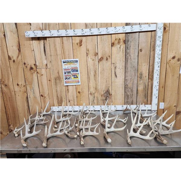 26.7 Lbs Of Nice Whitetail Shed Antlers