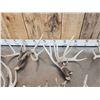 Image 4 : 23.5 Lbs Of Whitetail Shed Antlers Matching Sets