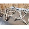 Image 5 : 23.5 Lbs Of Whitetail Shed Antlers Matching Sets