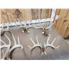 Image 2 : 8 Matching Sets Of Wild Whitetail Shed Antlers