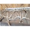Image 3 : 8 Matching Sets Of Wild Whitetail Shed Antlers
