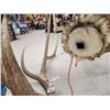 Image 5 : Set Of 6x6 Elk Antlers