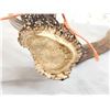 Image 5 : Set Of 7x7 Elk Shed Antlers