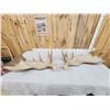 Image 8 : Set Of 23.3 Lbs Moose Shed Antlers