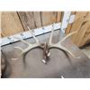 Image 3 : 22.5 Lbs Of Whitetail Shed Antlers