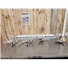 Image 1 : 22 Lbs Of Whitetail Shed Antlers