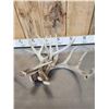 Image 3 : 22 Lbs Of Whitetail Shed Antlers